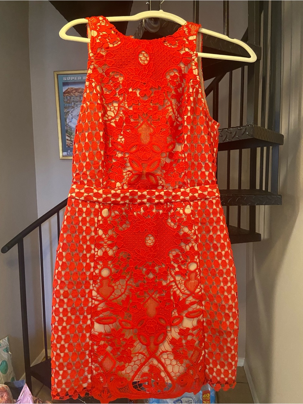 Endless Rose Red Lace Mini Dress